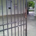 Eladio Novelo Gil
