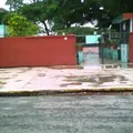 Escuela Secundaria Tecnica Num. 24