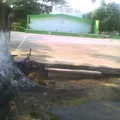 Jose Lopez Portillo y Rojas