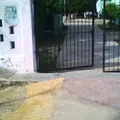 Pura Irene Escalante