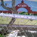 Nelly Sansores