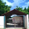 Yootoch Mejen Chi'iich
