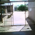 Carlos Carrillo Alonzo