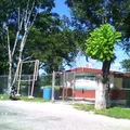 Ricardo Flores Magon