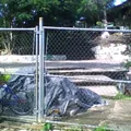 Jose Peon Contreras