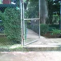 Luis Peniche Vallado