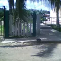 Serapio Baqueiro Preve