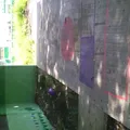 Preescolar Comunitario