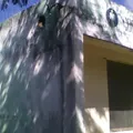 Primaria Comunitaria