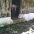 Secundaria Comunitaria