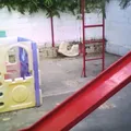 Ositos Felices