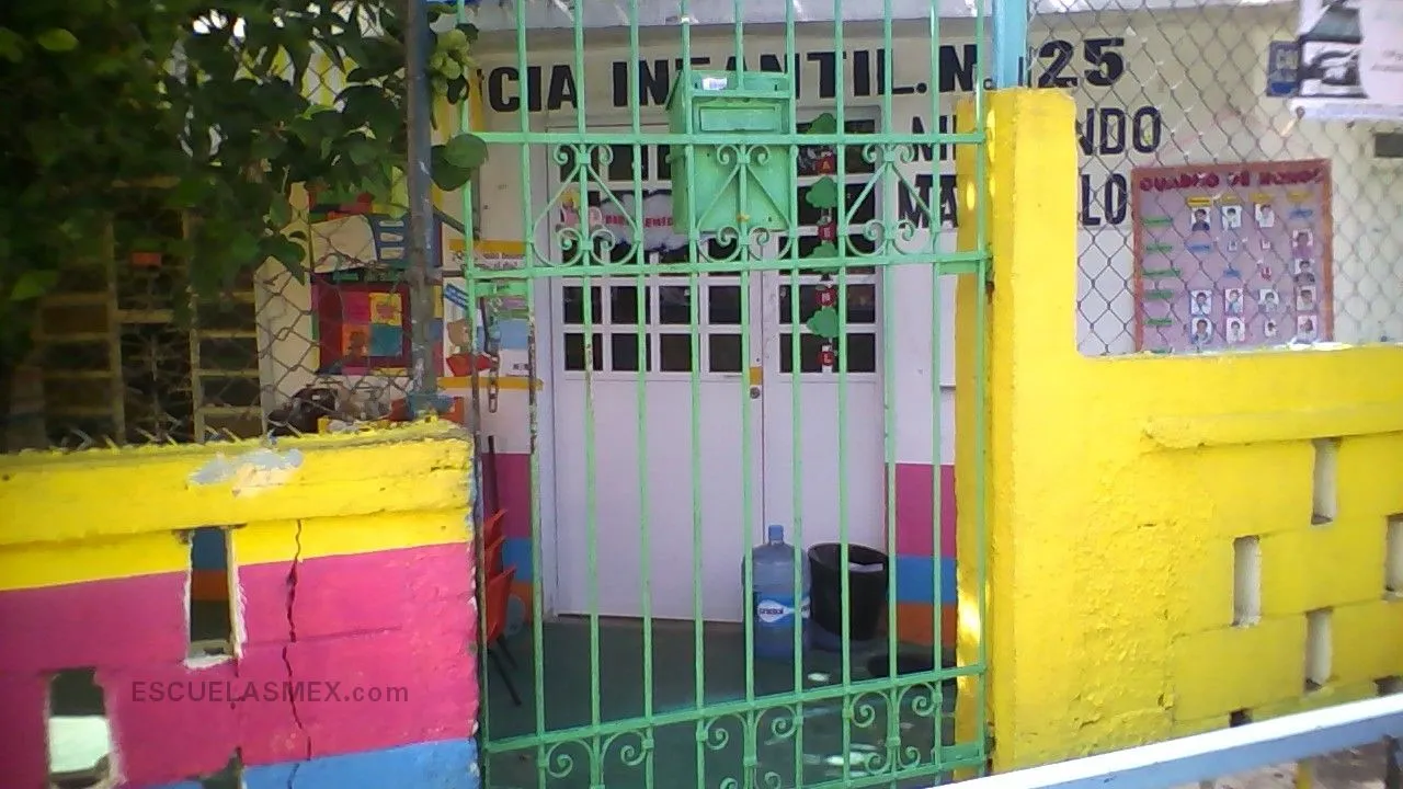 Mi Mundo Maravilloso Entrada