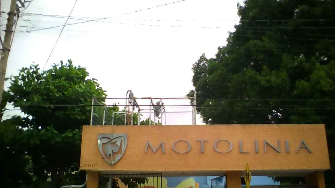 Motolinia de Merida Entrada