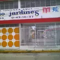 Instituto White Star