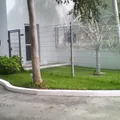 Instituto de Educacion Progresiva, The Workshop