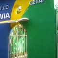 Instituto Savia