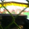 Luis G Urbina