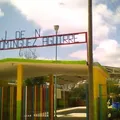 Laura Dominguez Aguirre