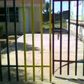 Jose Vasconcelos