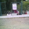 Niños Heroes