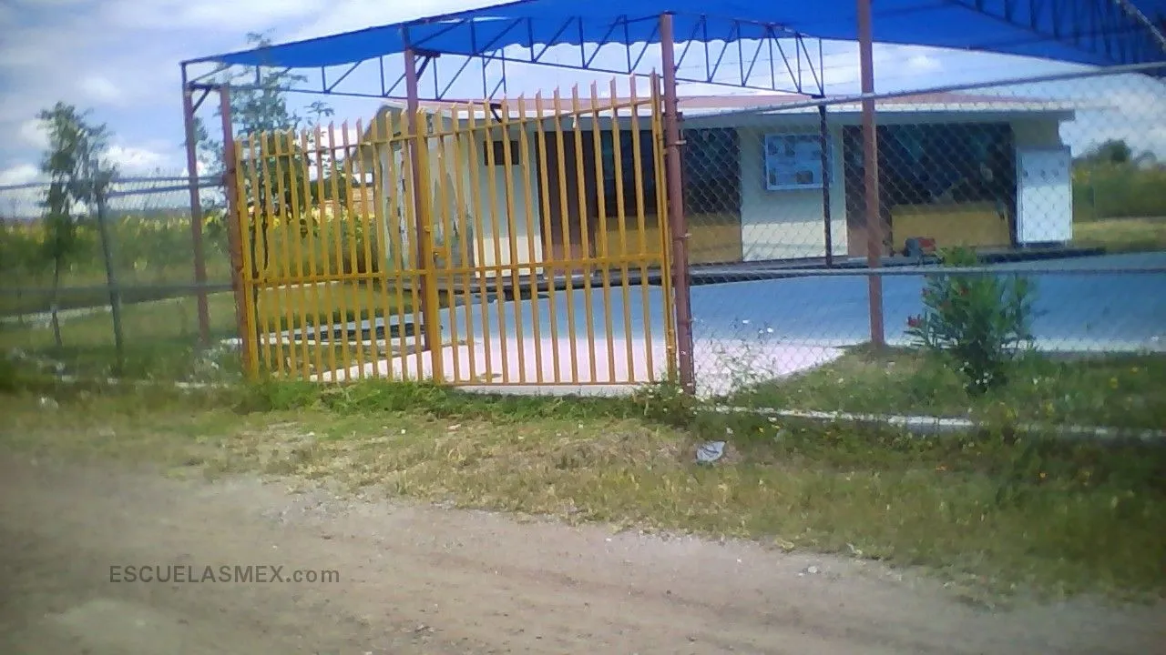Jean Piaget Entrada