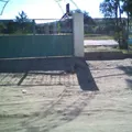 Genaro Codina