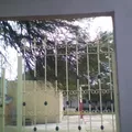 Naciones Unidas