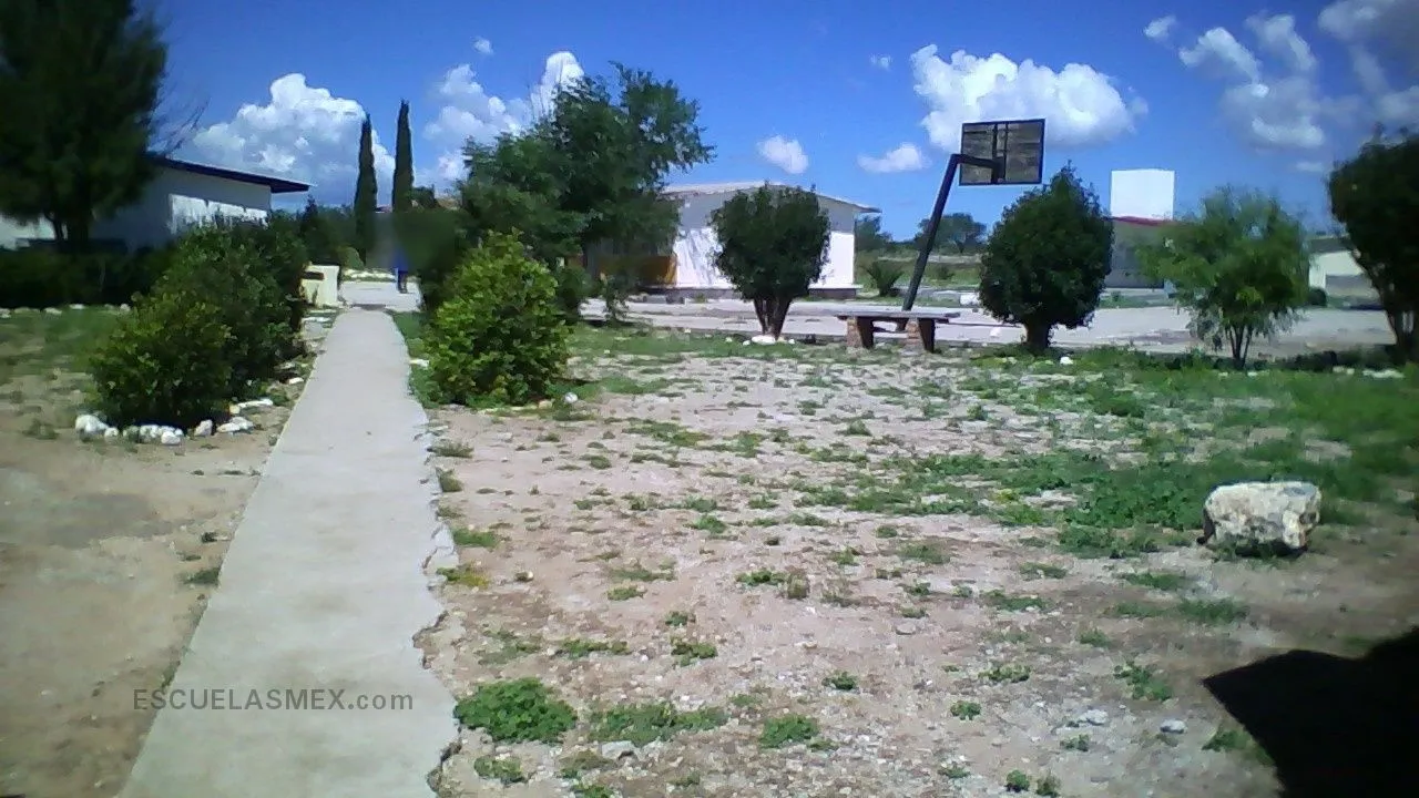 Francisco Goitia Entrada