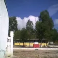 Panfilo Natera