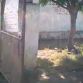 Revolucion