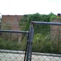 Esteban S Castorena
