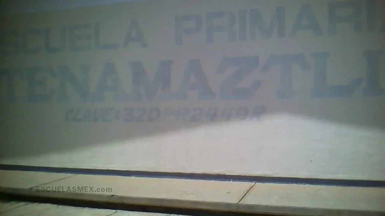Tenamaztli Entrada