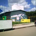 Lic. Genaro Borrego Estrada