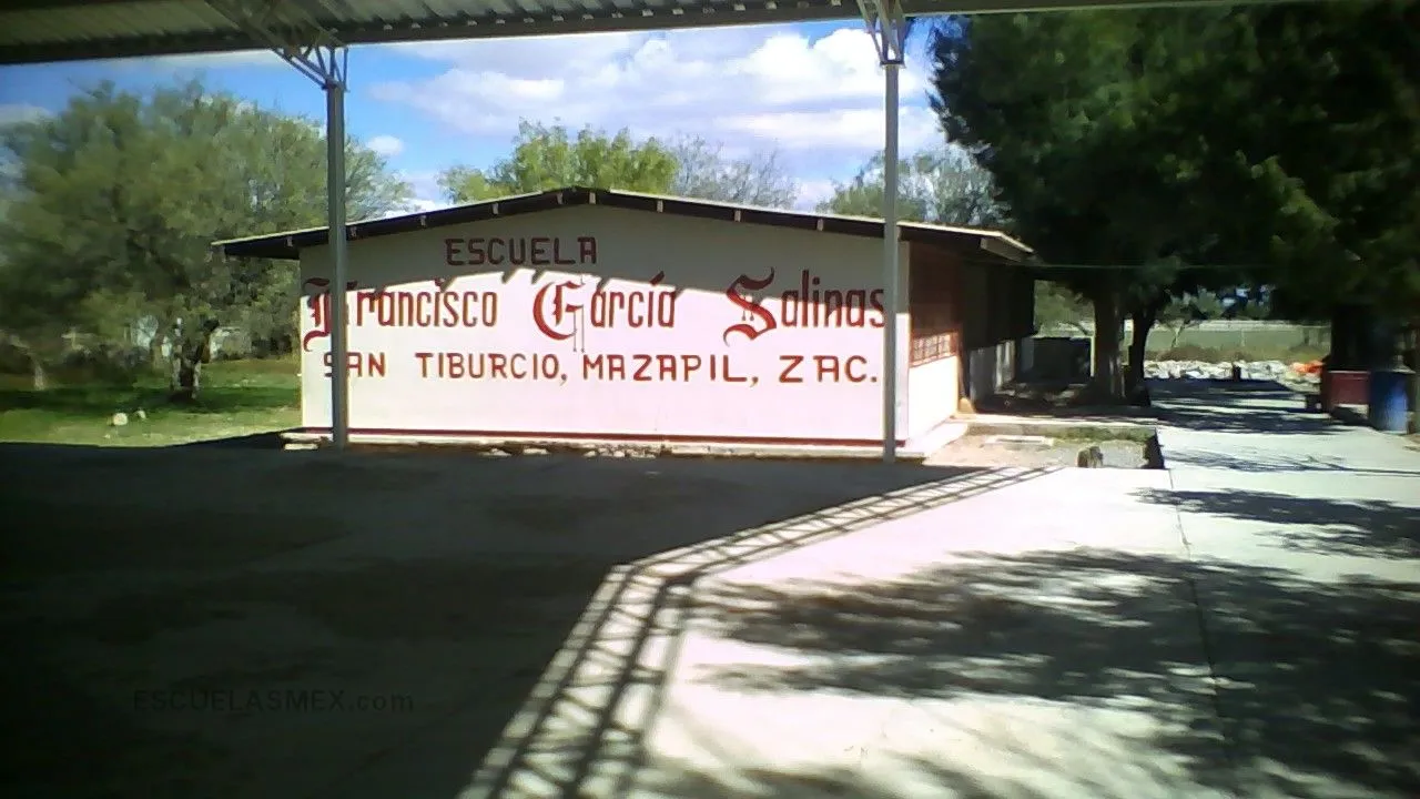 Francisco G Salinas Entrada