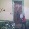 Esteban S Castorena