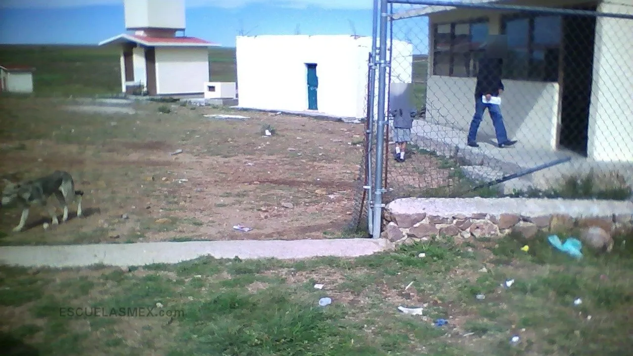 Pedro Moreno Entrada