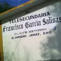 Francisco Garcia Salinas