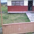 Tierra y Libertad