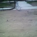 Revolucion Mexicana