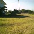Lazaro Cardenas
