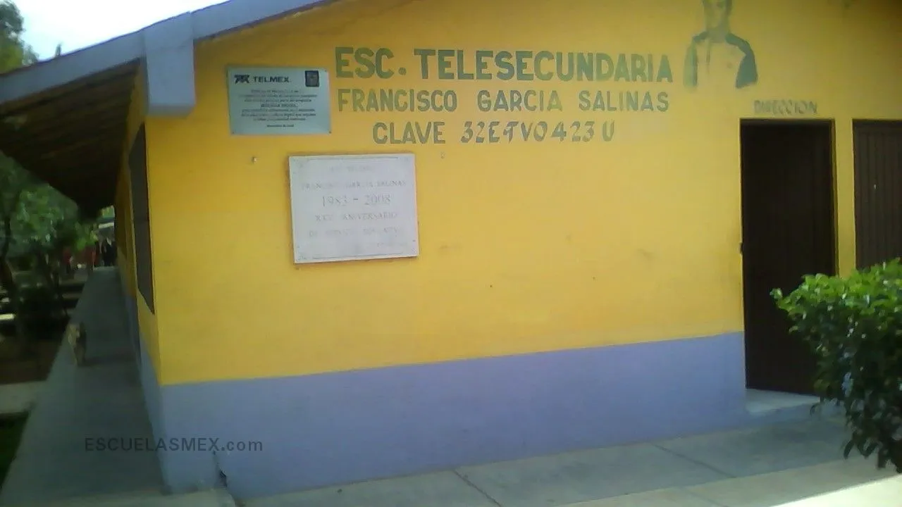 Francisco Garcia Salinas Entrada