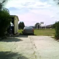 Genaro Codina